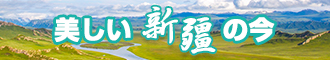 操必片新疆banner-w330n60.jpg